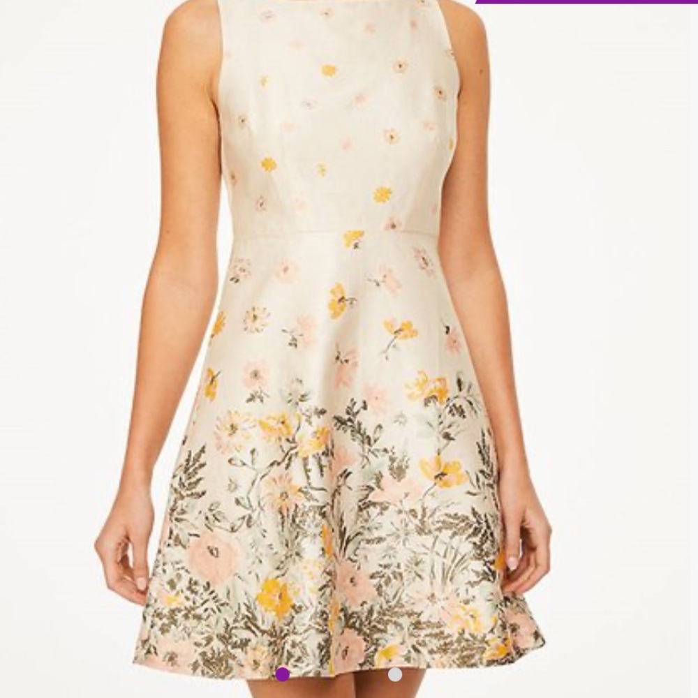 LOFT Outlet Sweet Dress | Milky Tan Villa Border Sleeveless Fit & Flare